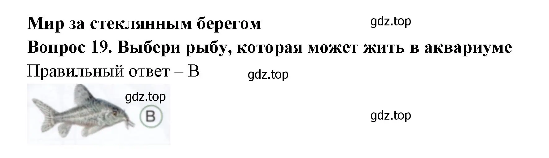 Решение номер 19 (страница 19) гдз по окружающему миру 1 класс Плешаков, Новицкая, тесты