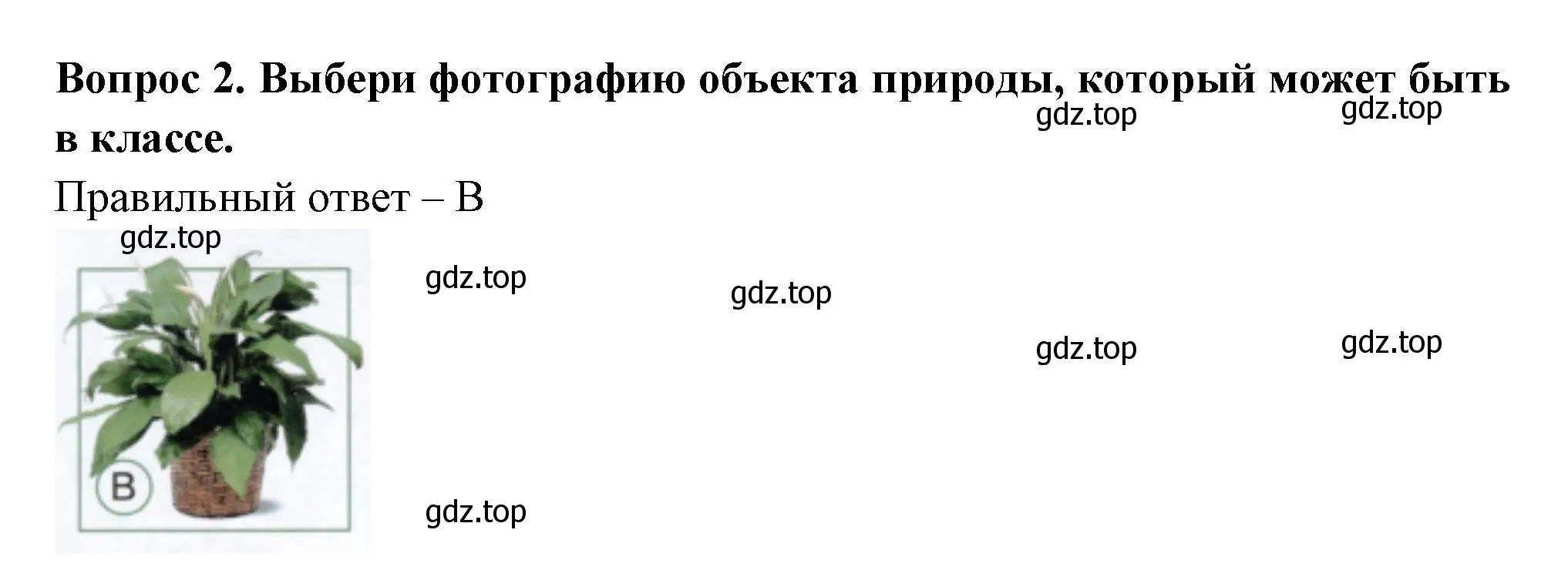 Решение номер 2 (страница 11) гдз по окружающему миру 1 класс Плешаков, Новицкая, тесты