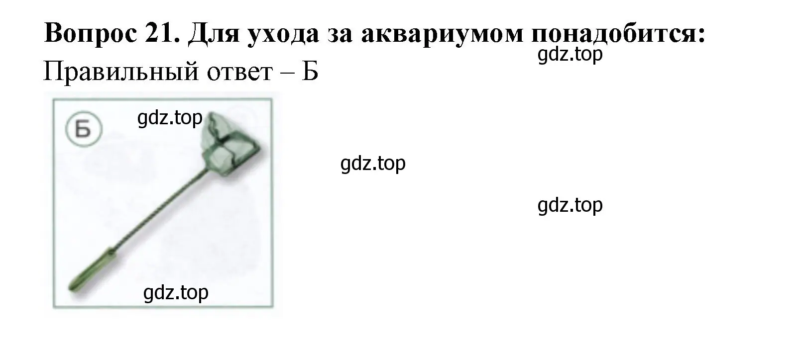 Решение номер 21 (страница 19) гдз по окружающему миру 1 класс Плешаков, Новицкая, тесты