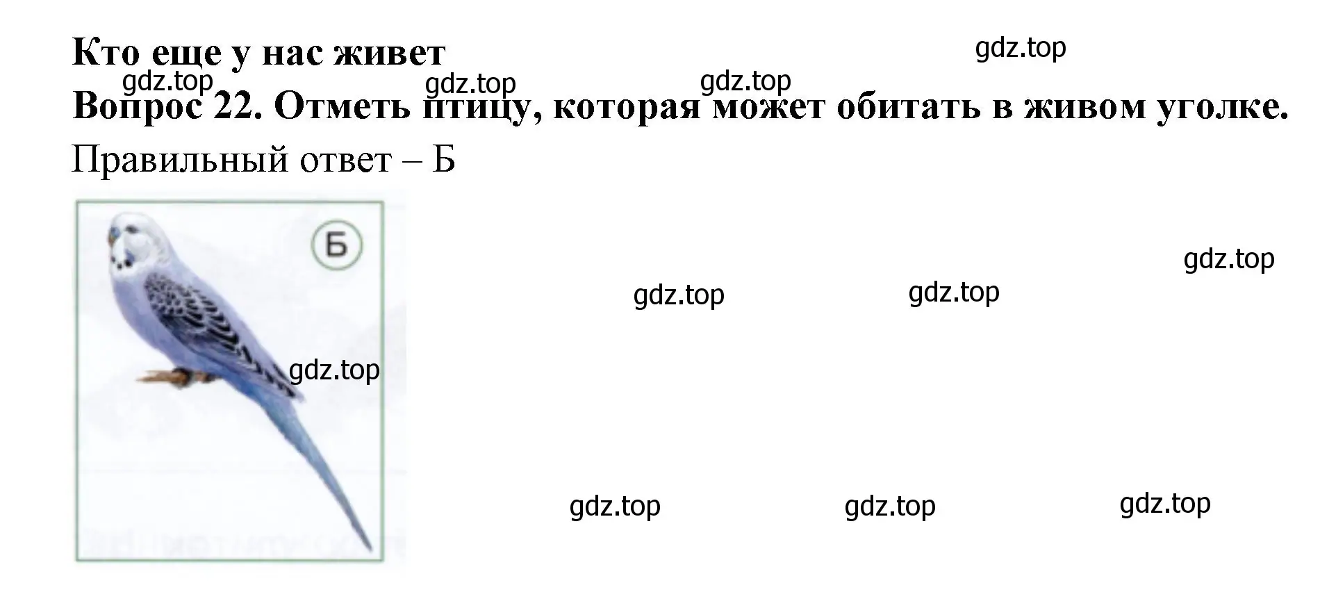 Решение номер 22 (страница 20) гдз по окружающему миру 1 класс Плешаков, Новицкая, тесты