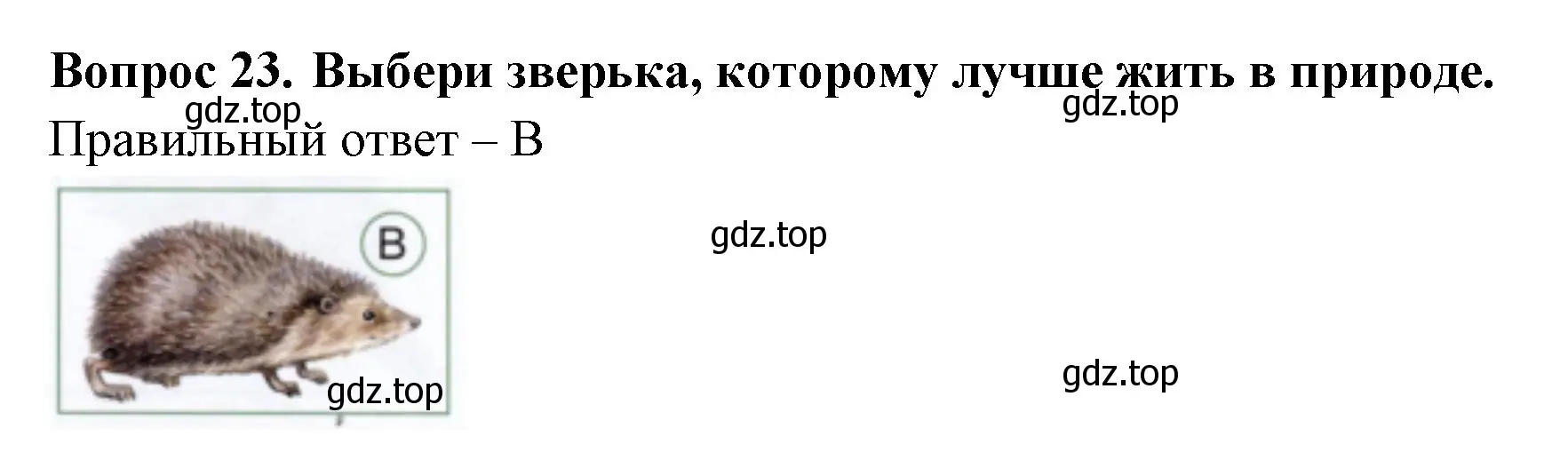 Решение номер 23 (страница 20) гдз по окружающему миру 1 класс Плешаков, Новицкая, тесты