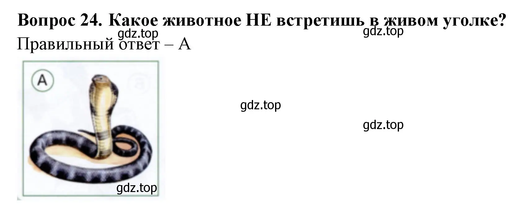 Решение номер 24 (страница 20) гдз по окружающему миру 1 класс Плешаков, Новицкая, тесты