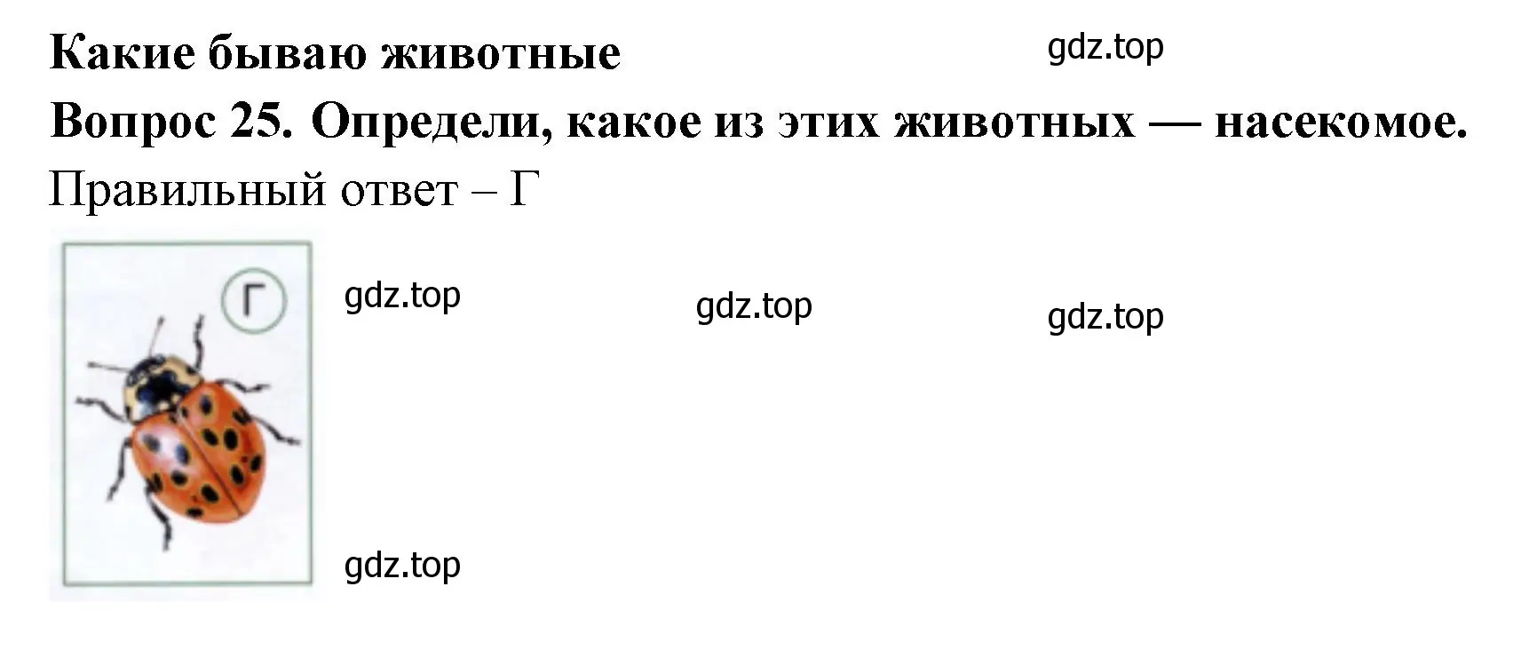 Решение номер 25 (страница 21) гдз по окружающему миру 1 класс Плешаков, Новицкая, тесты