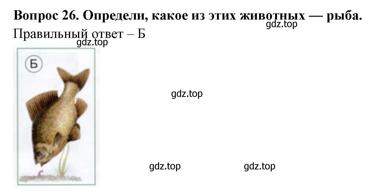 Решение номер 26 (страница 21) гдз по окружающему миру 1 класс Плешаков, Новицкая, тесты