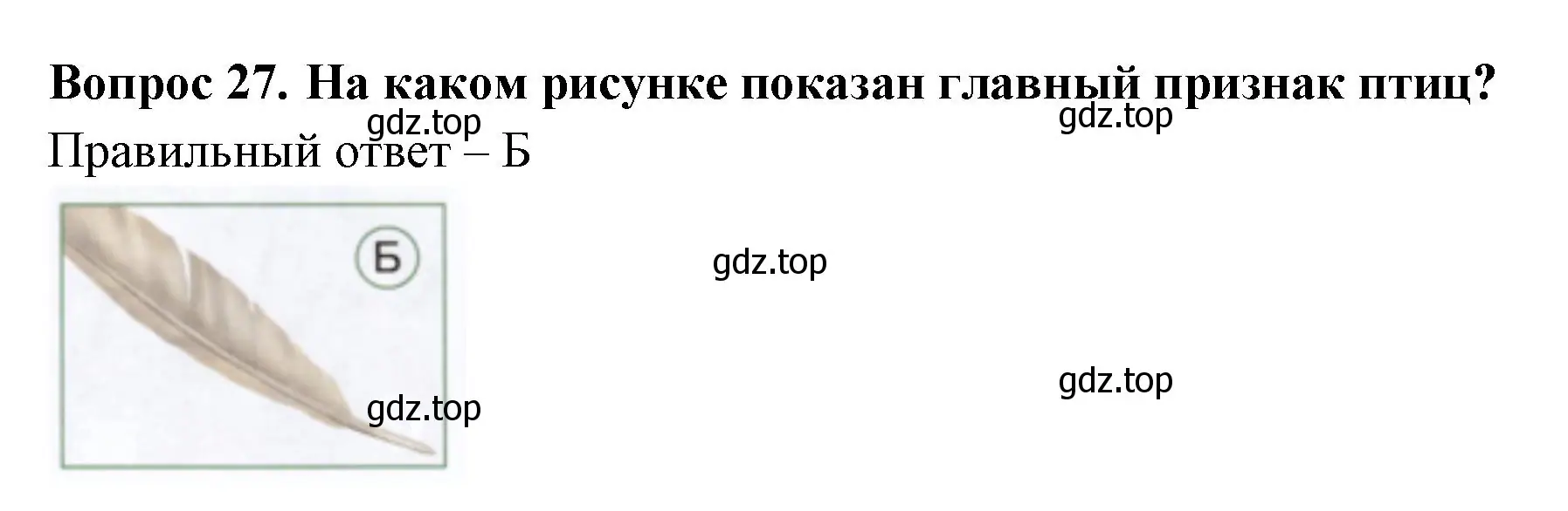 Решение номер 27 (страница 21) гдз по окружающему миру 1 класс Плешаков, Новицкая, тесты