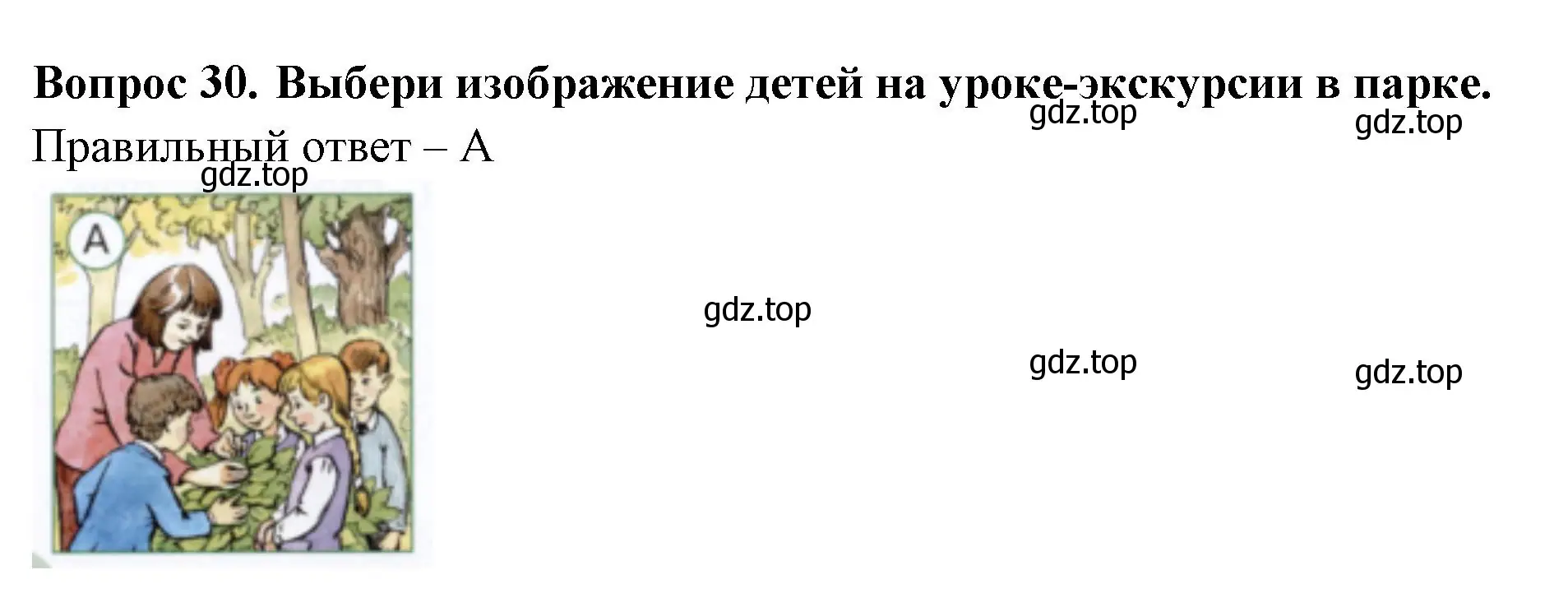 Решение номер 30 (страница 22) гдз по окружающему миру 1 класс Плешаков, Новицкая, тесты