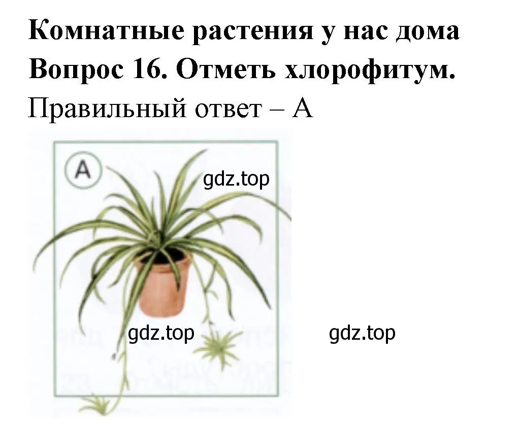 Решение номер 16 (страница 31) гдз по окружающему миру 1 класс Плешаков, Новицкая, тесты