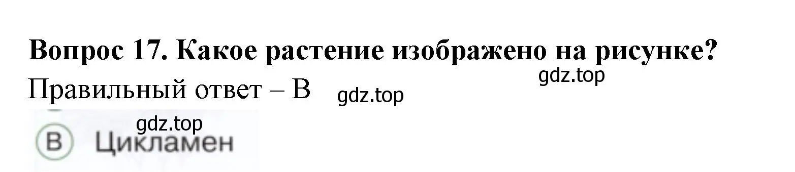 Решение номер 17 (страница 31) гдз по окружающему миру 1 класс Плешаков, Новицкая, тесты