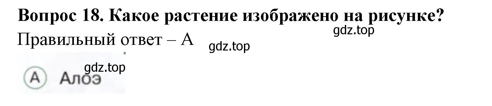 Решение номер 18 (страница 31) гдз по окружающему миру 1 класс Плешаков, Новицкая, тесты