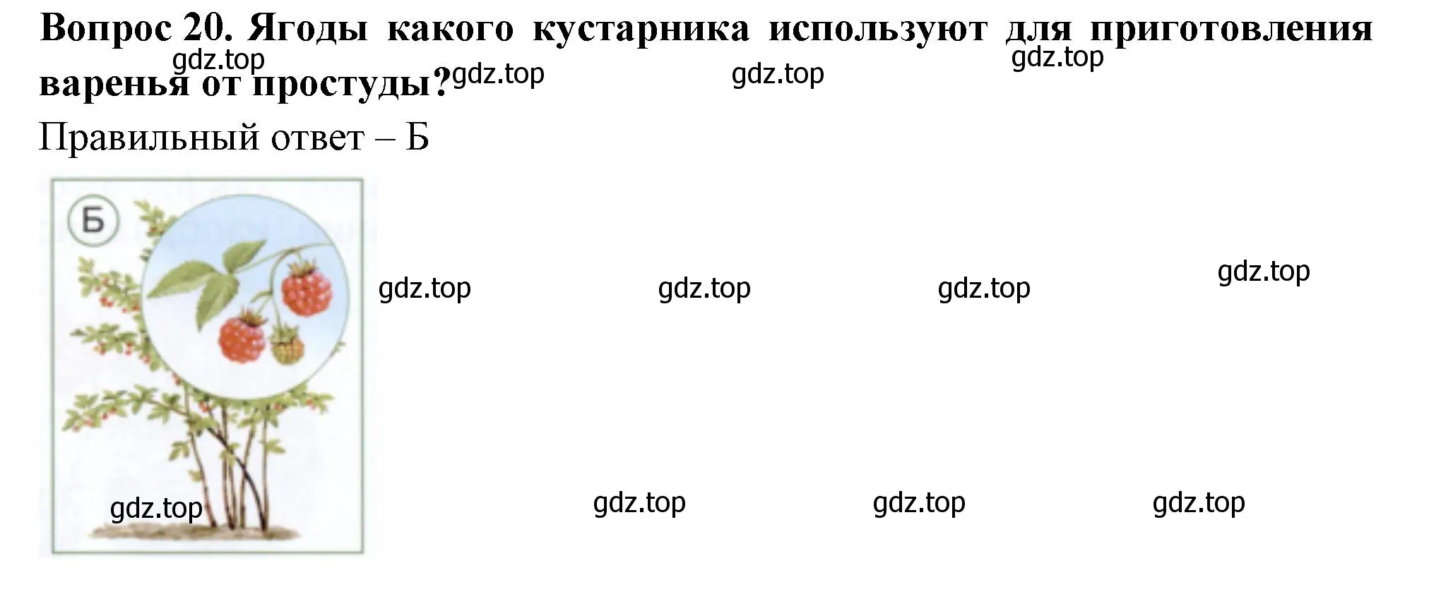 Решение номер 20 (страница 32) гдз по окружающему миру 1 класс Плешаков, Новицкая, тесты