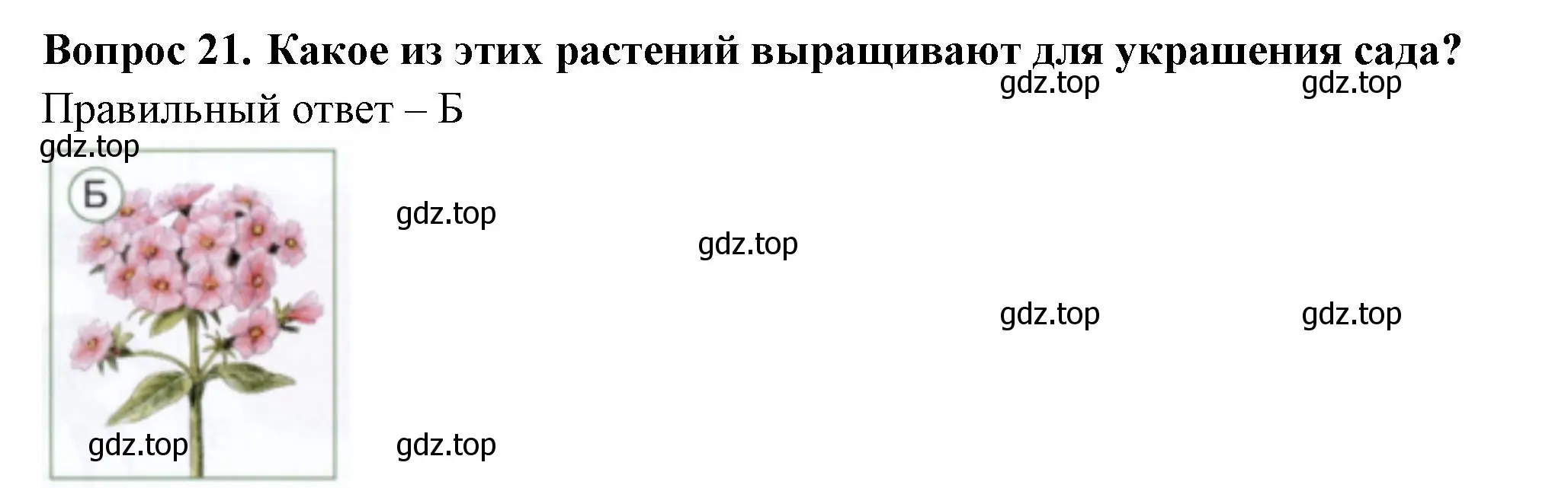 Решение номер 21 (страница 32) гдз по окружающему миру 1 класс Плешаков, Новицкая, тесты