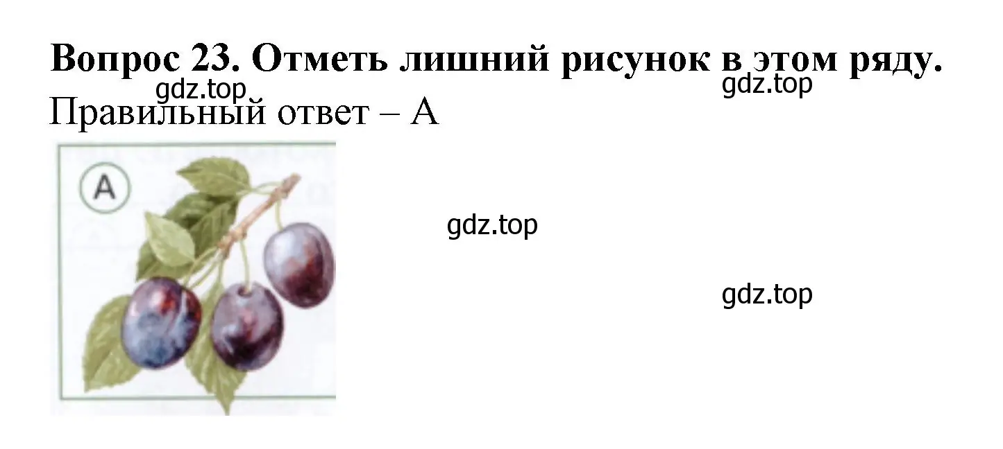 Решение номер 23 (страница 33) гдз по окружающему миру 1 класс Плешаков, Новицкая, тесты