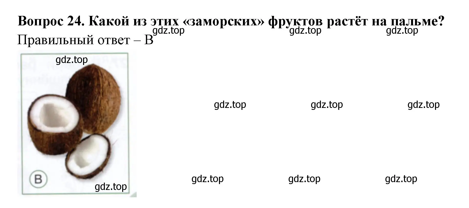 Решение номер 24 (страница 33) гдз по окружающему миру 1 класс Плешаков, Новицкая, тесты