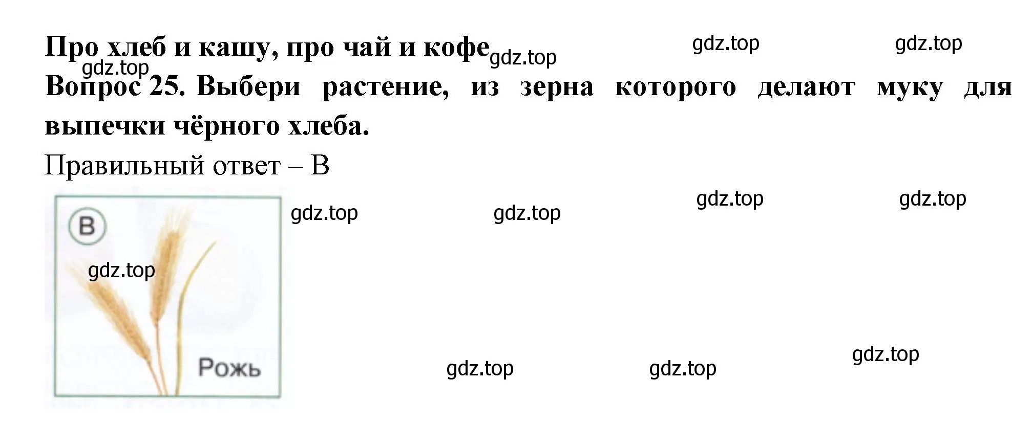 Решение номер 25 (страница 34) гдз по окружающему миру 1 класс Плешаков, Новицкая, тесты