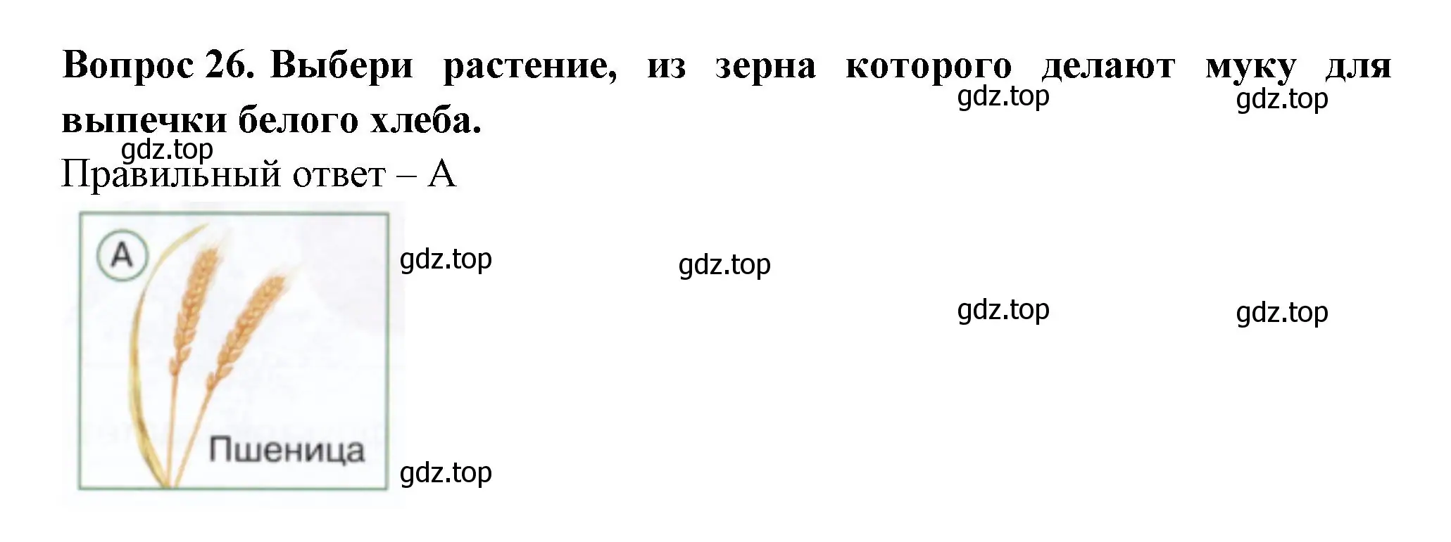 Решение номер 26 (страница 34) гдз по окружающему миру 1 класс Плешаков, Новицкая, тесты