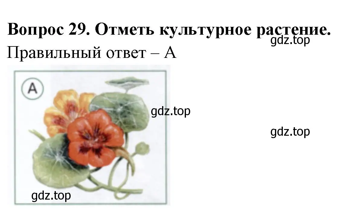 Решение номер 29 (страница 35) гдз по окружающему миру 1 класс Плешаков, Новицкая, тесты