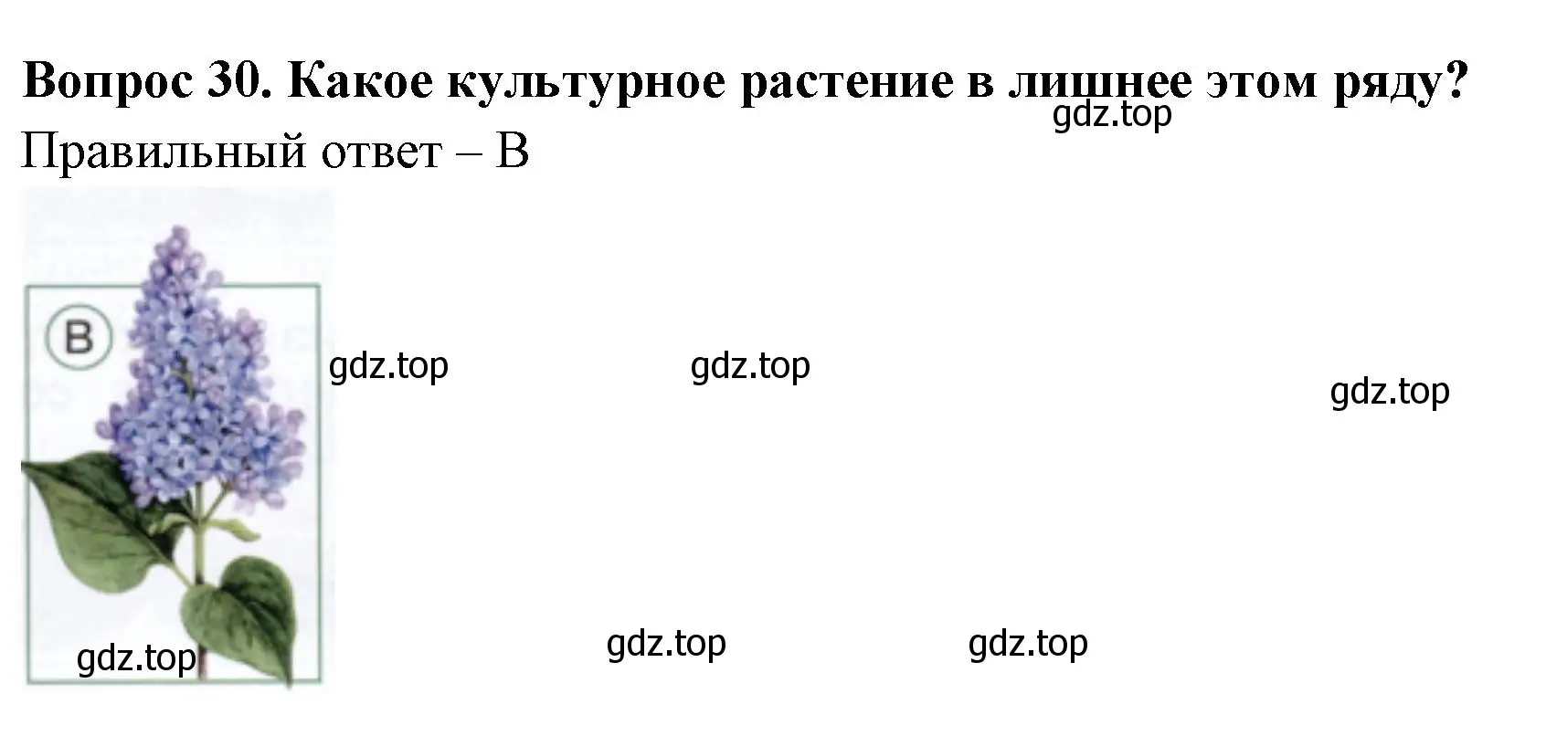 Решение номер 30 (страница 35) гдз по окружающему миру 1 класс Плешаков, Новицкая, тесты