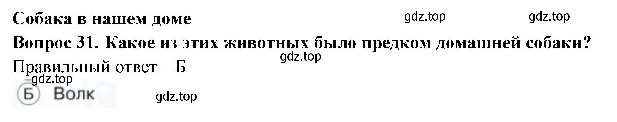 Решение номер 31 (страница 36) гдз по окружающему миру 1 класс Плешаков, Новицкая, тесты