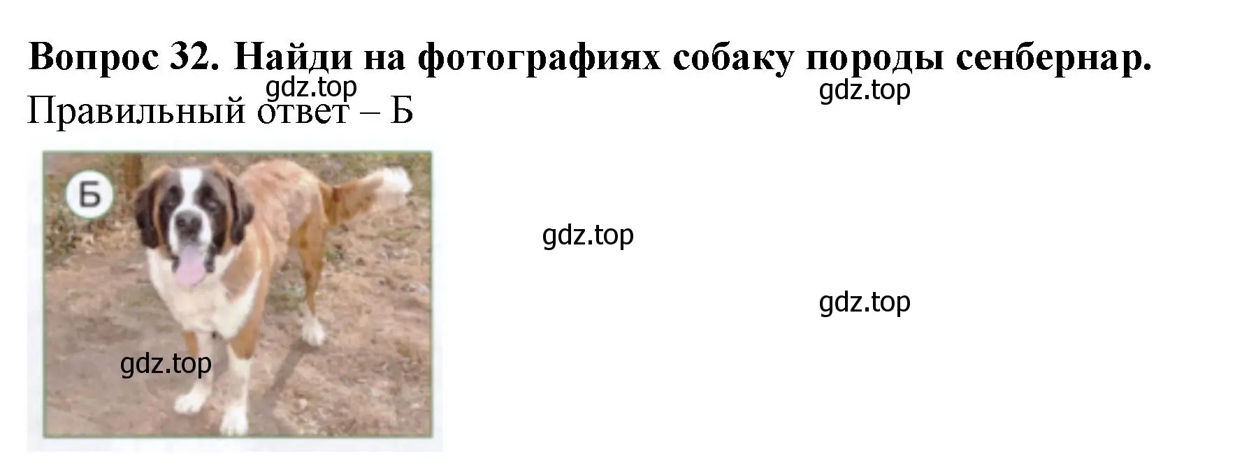 Решение номер 32 (страница 36) гдз по окружающему миру 1 класс Плешаков, Новицкая, тесты