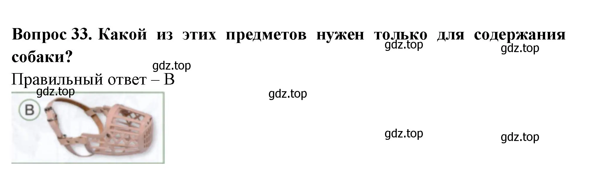 Решение номер 33 (страница 36) гдз по окружающему миру 1 класс Плешаков, Новицкая, тесты