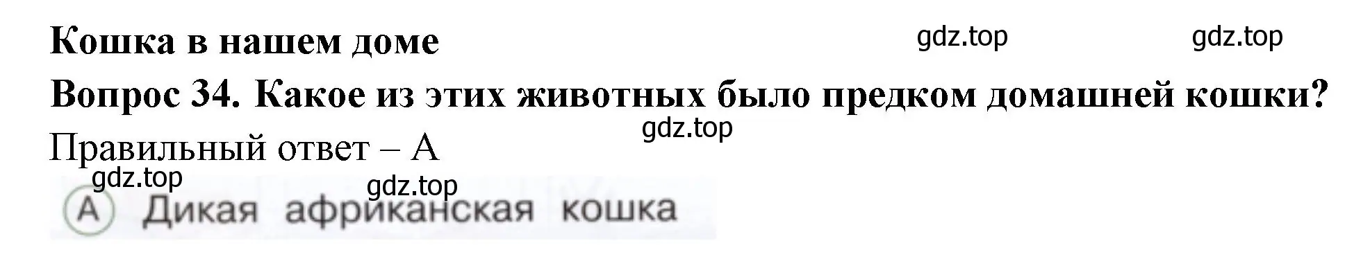 Решение номер 34 (страница 37) гдз по окружающему миру 1 класс Плешаков, Новицкая, тесты