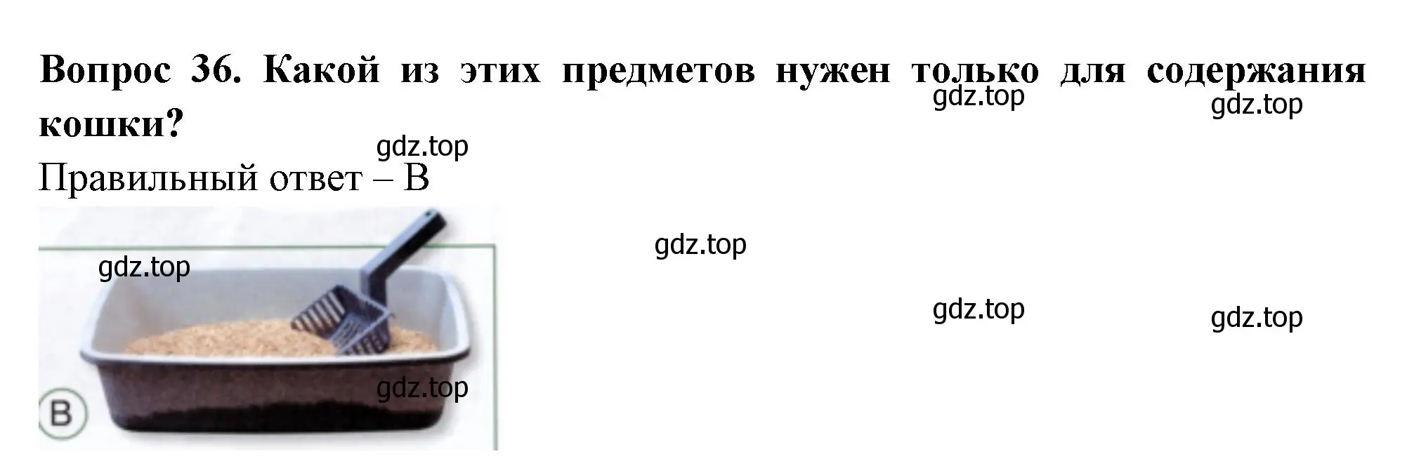 Решение номер 36 (страница 37) гдз по окружающему миру 1 класс Плешаков, Новицкая, тесты