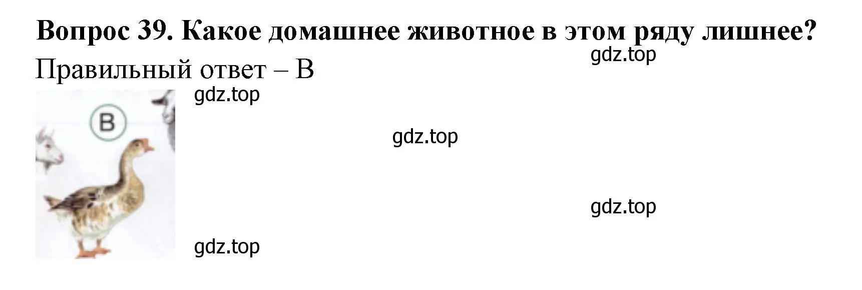 Решение номер 39 (страница 38) гдз по окружающему миру 1 класс Плешаков, Новицкая, тесты