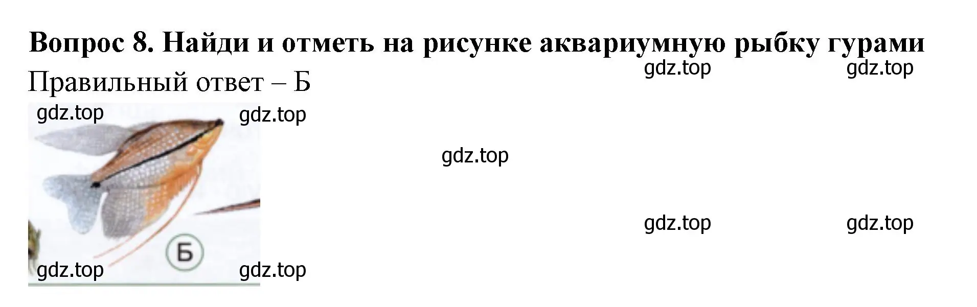 Решение номер 8 (страница 28) гдз по окружающему миру 1 класс Плешаков, Новицкая, тесты