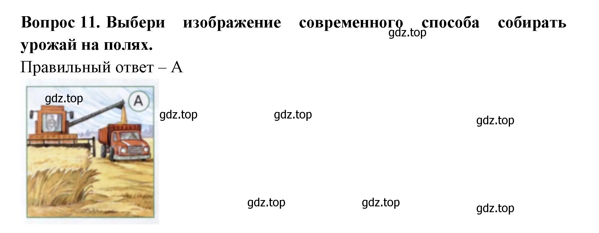 Решение номер 11 (страница 43) гдз по окружающему миру 1 класс Плешаков, Новицкая, тесты