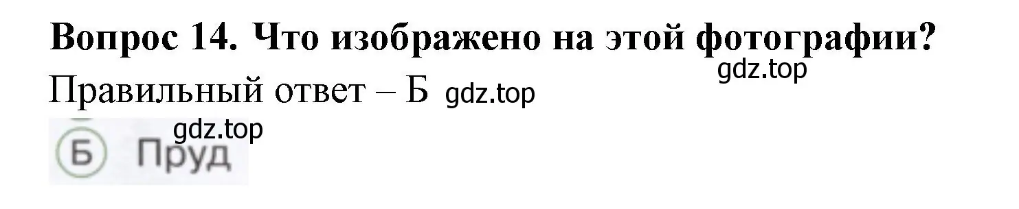 Решение номер 14 (страница 45) гдз по окружающему миру 1 класс Плешаков, Новицкая, тесты