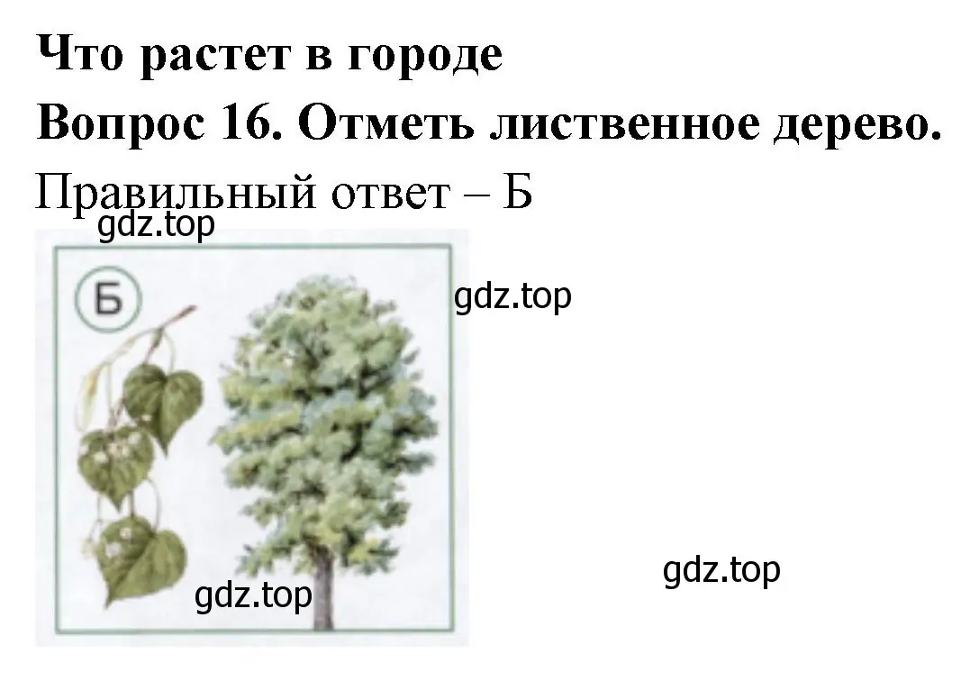 Решение номер 16 (страница 46) гдз по окружающему миру 1 класс Плешаков, Новицкая, тесты