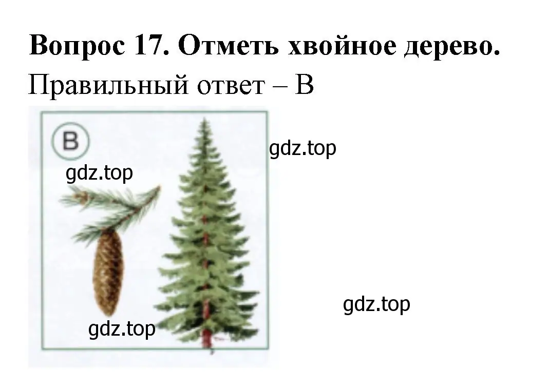 Решение номер 17 (страница 46) гдз по окружающему миру 1 класс Плешаков, Новицкая, тесты