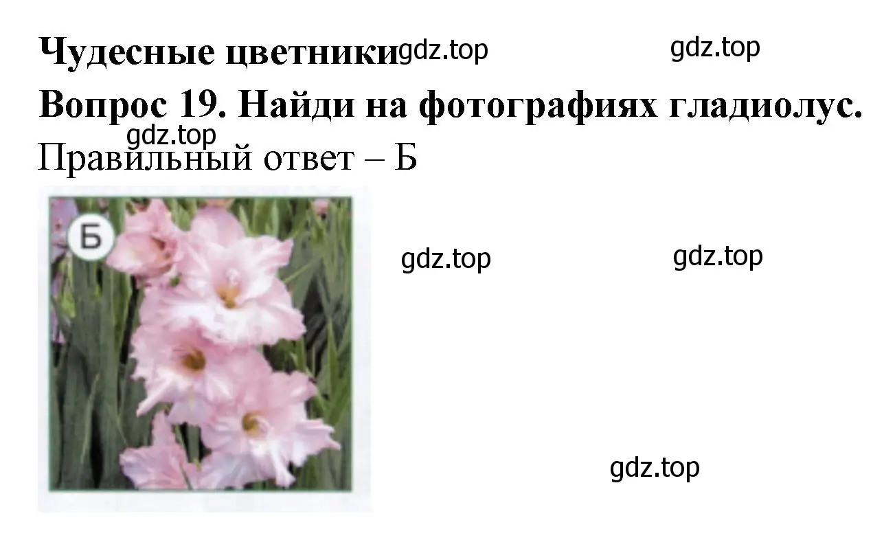 Решение номер 19 (страница 47) гдз по окружающему миру 1 класс Плешаков, Новицкая, тесты