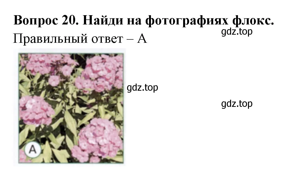 Решение номер 20 (страница 47) гдз по окружающему миру 1 класс Плешаков, Новицкая, тесты