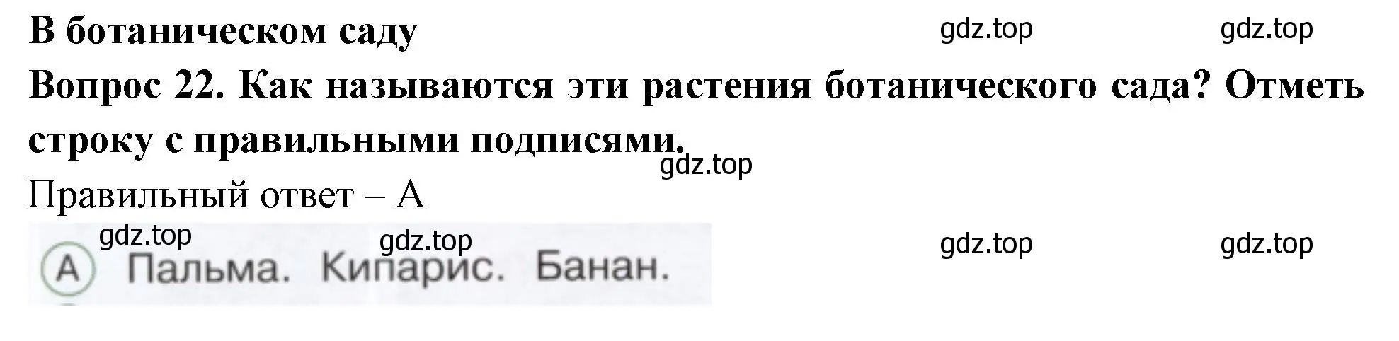 Решение номер 22 (страница 48) гдз по окружающему миру 1 класс Плешаков, Новицкая, тесты