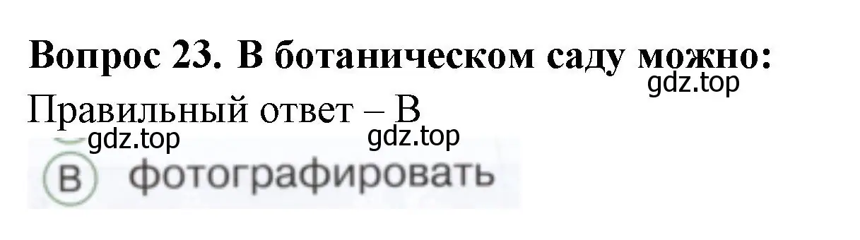 Решение номер 23 (страница 48) гдз по окружающему миру 1 класс Плешаков, Новицкая, тесты