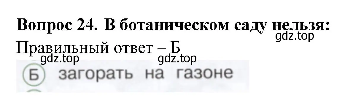 Решение номер 24 (страница 48) гдз по окружающему миру 1 класс Плешаков, Новицкая, тесты