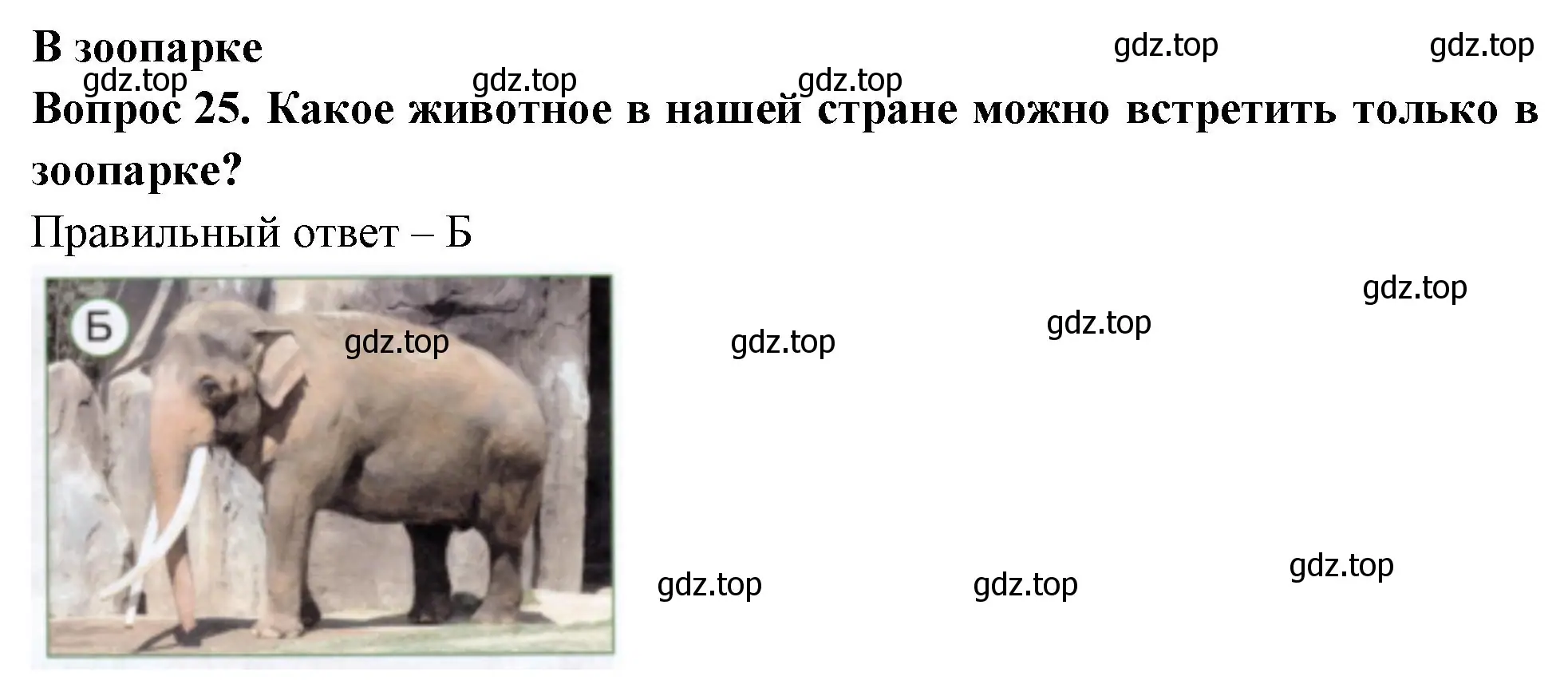 Решение номер 25 (страница 49) гдз по окружающему миру 1 класс Плешаков, Новицкая, тесты