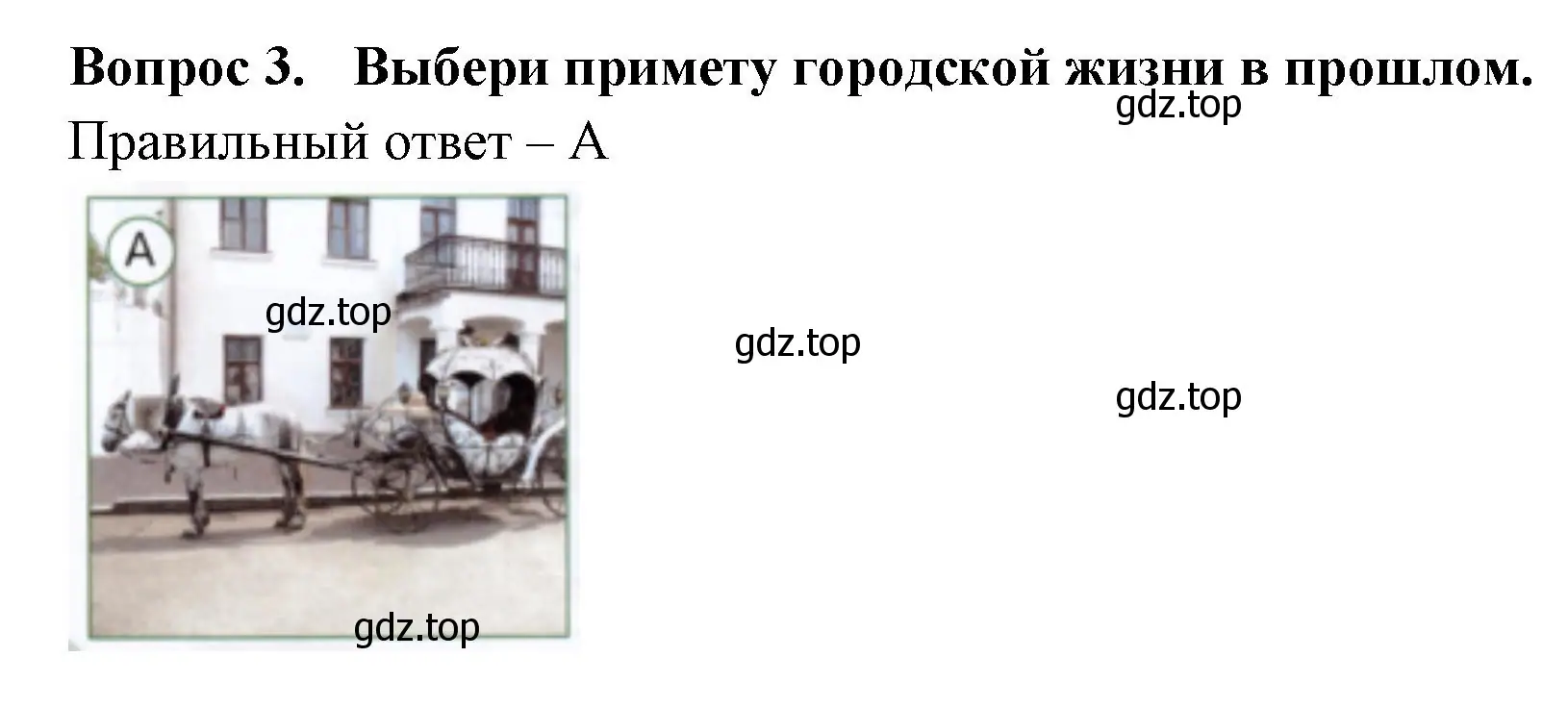 Решение номер 3 (страница 40) гдз по окружающему миру 1 класс Плешаков, Новицкая, тесты