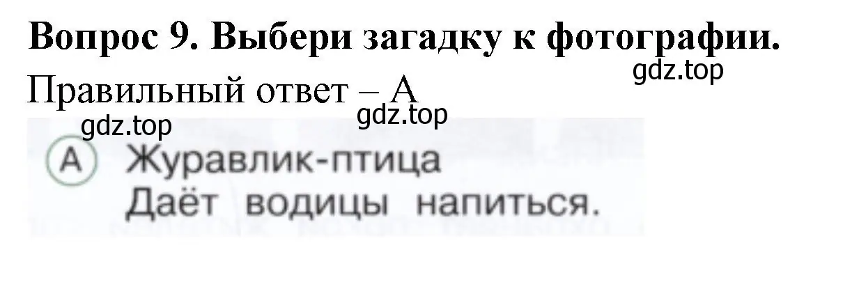 Решение номер 9 (страница 42) гдз по окружающему миру 1 класс Плешаков, Новицкая, тесты