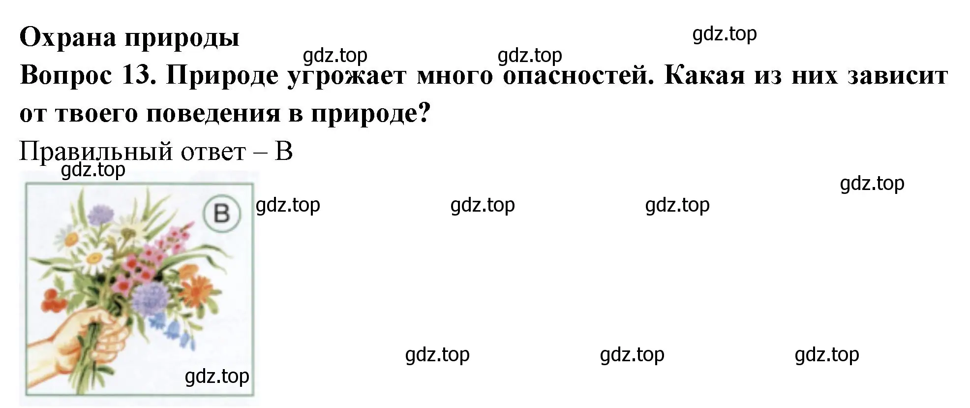 Решение номер 13 (страница 60) гдз по окружающему миру 1 класс Плешаков, Новицкая, тесты