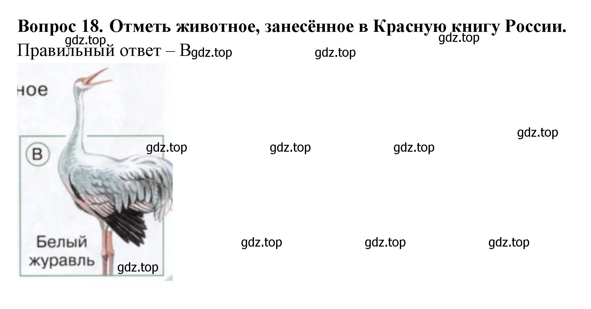 Решение номер 18 (страница 61) гдз по окружающему миру 1 класс Плешаков, Новицкая, тесты