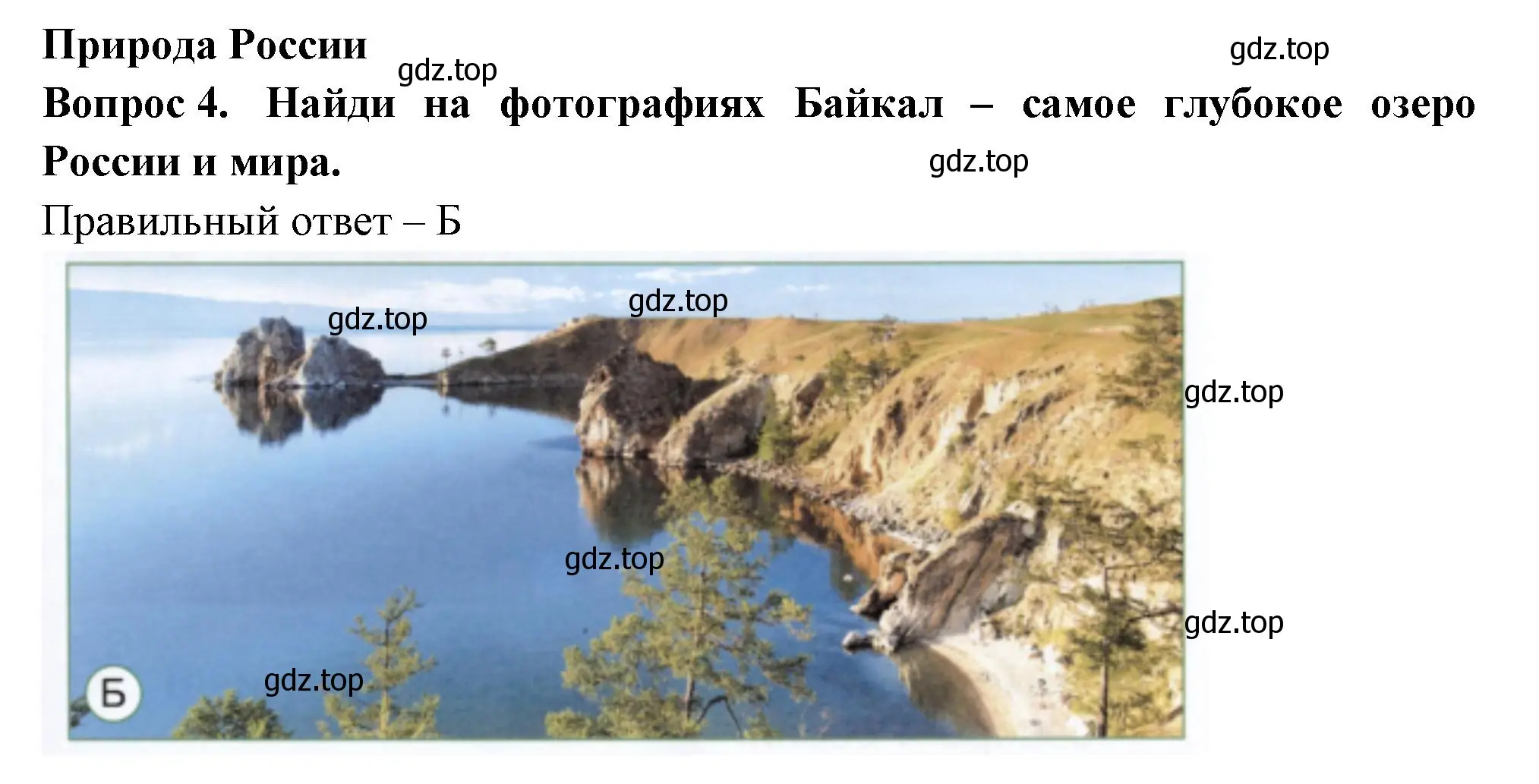 Решение номер 4 (страница 55) гдз по окружающему миру 1 класс Плешаков, Новицкая, тесты