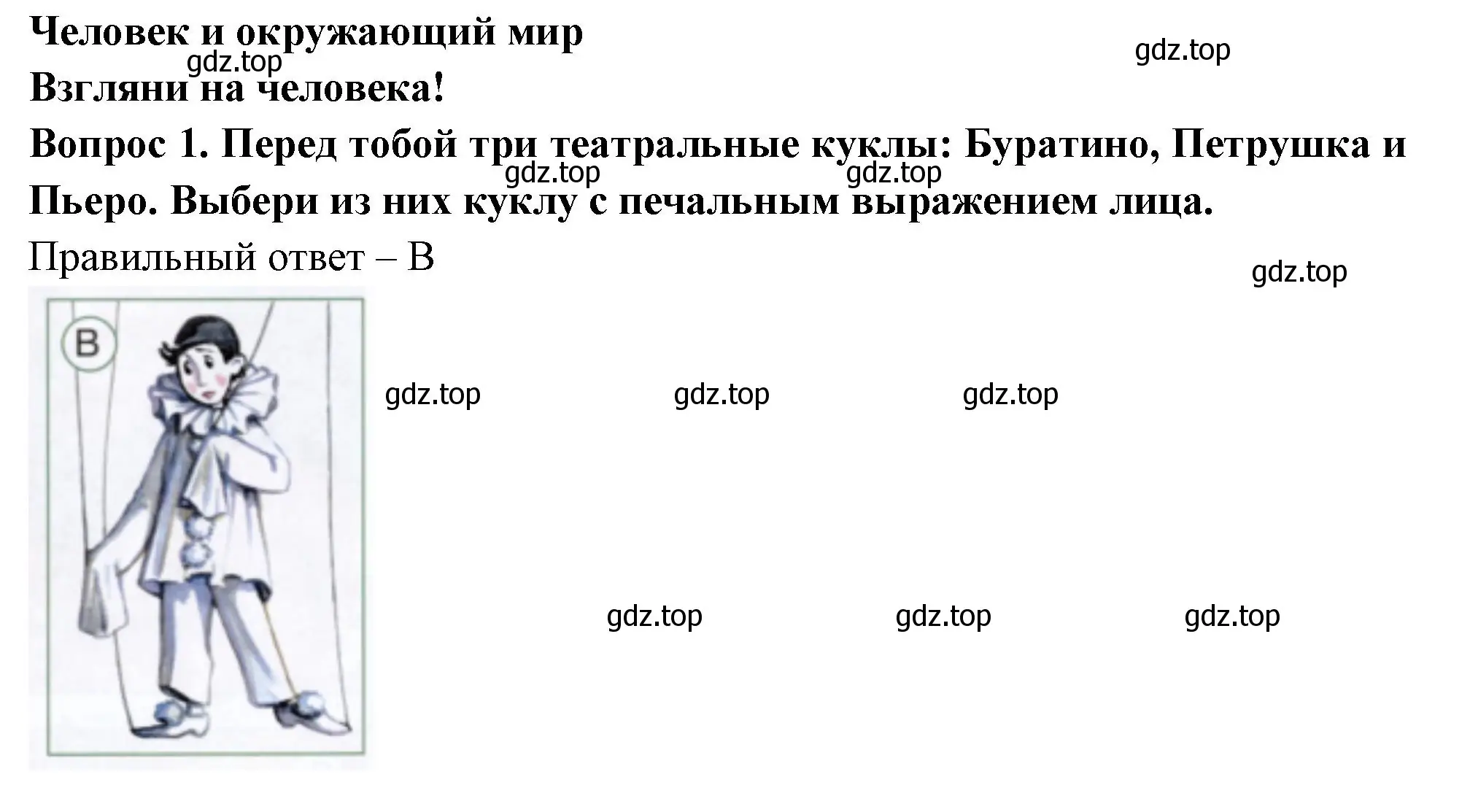 Решение номер 1 (страница 63) гдз по окружающему миру 1 класс Плешаков, Новицкая, тесты