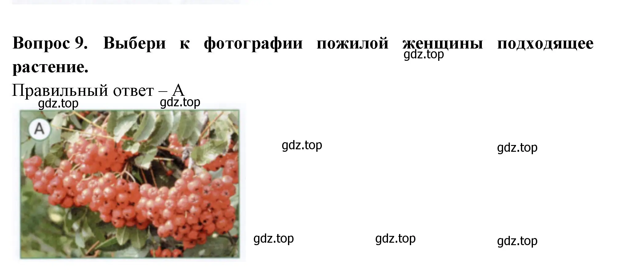 Решение номер 9 (страница 70) гдз по окружающему миру 1 класс Плешаков, Новицкая, тесты