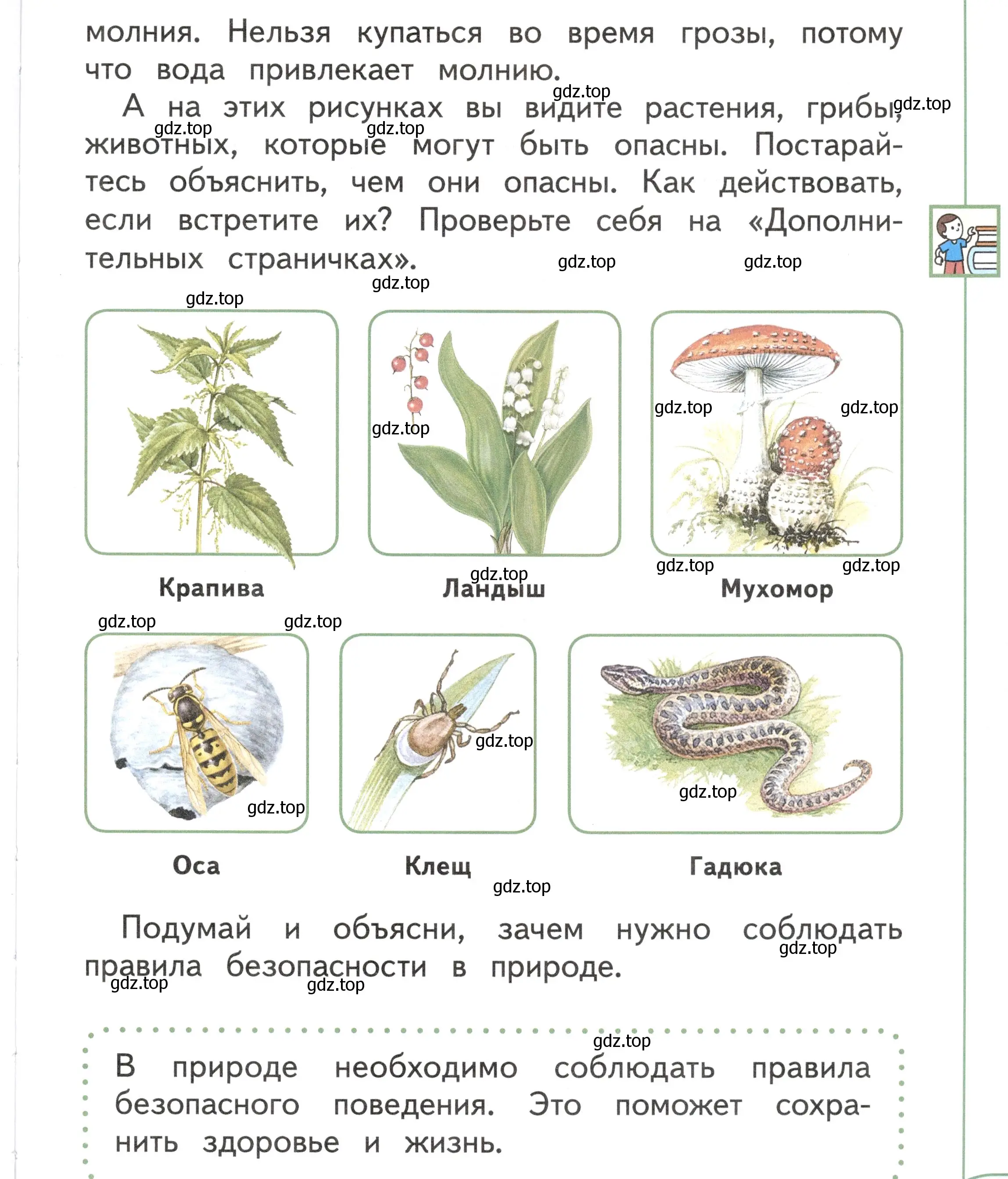 Условие Страница 13 гдз по окружающему миру 1 класс Плешаков, Новицкая, учебник 1 часть