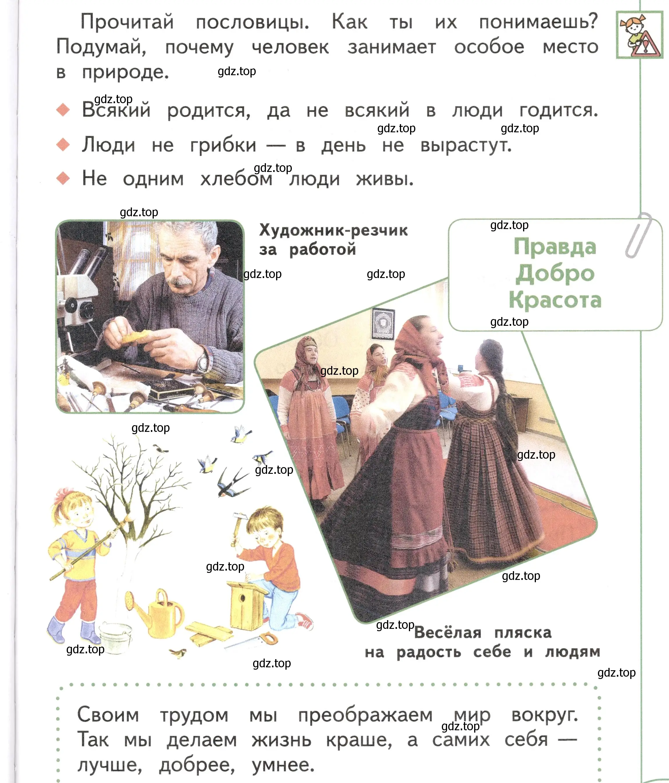 Условие Страница 29 гдз по окружающему миру 1 класс Плешаков, Новицкая, учебник 1 часть