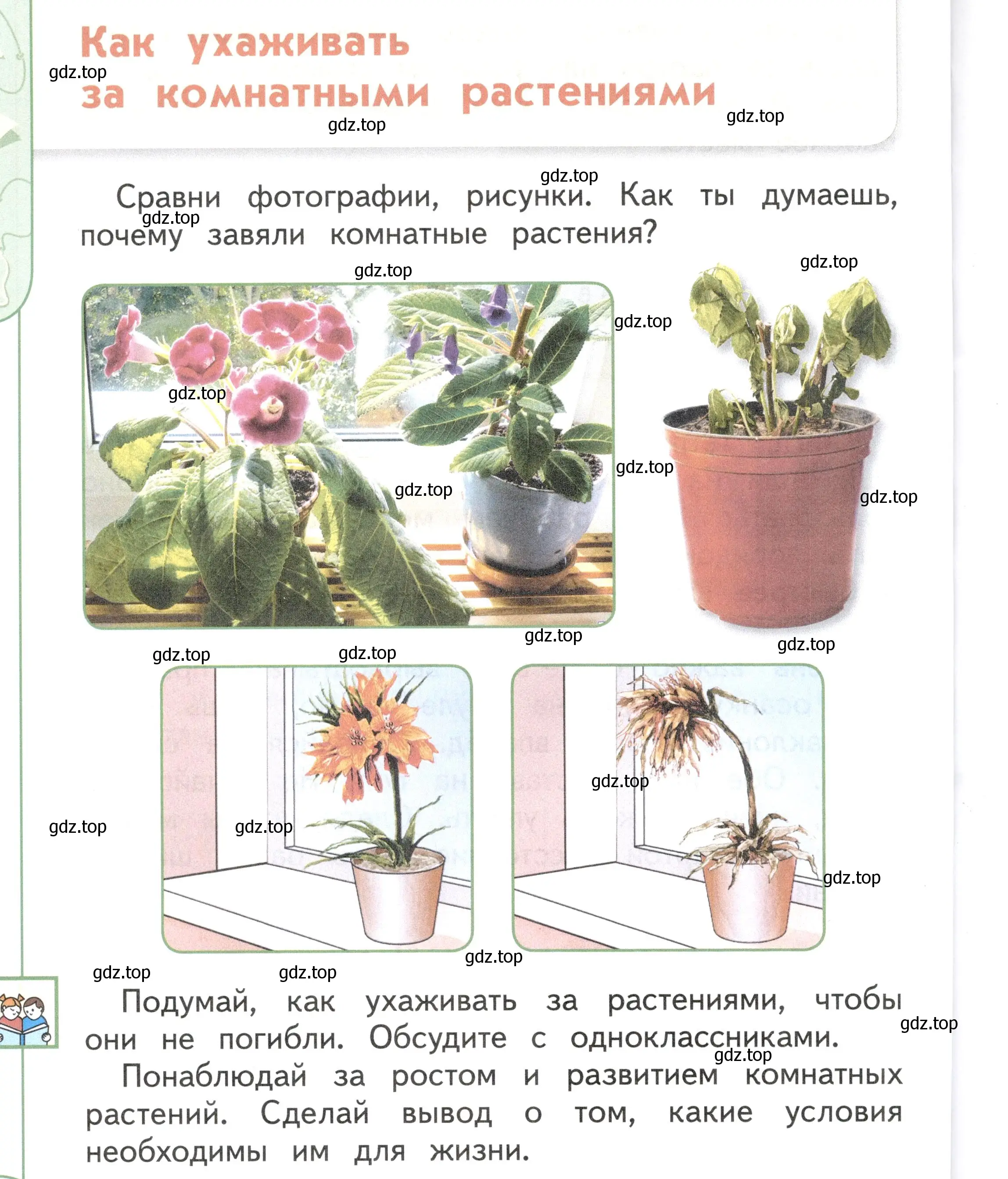 Условие Страница 40 гдз по окружающему миру 1 класс Плешаков, Новицкая, учебник 1 часть