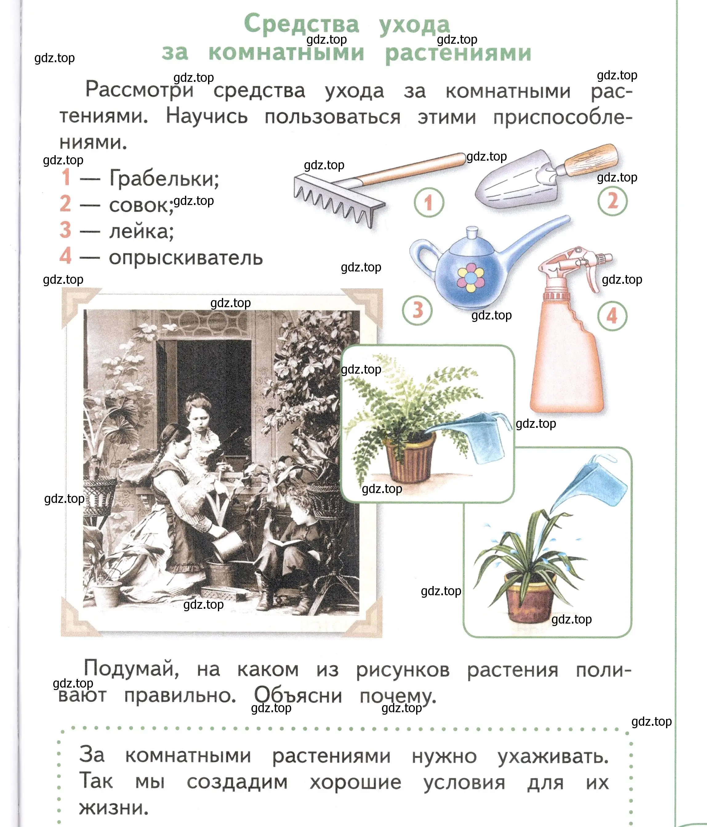 Условие Страница 41 гдз по окружающему миру 1 класс Плешаков, Новицкая, учебник 1 часть