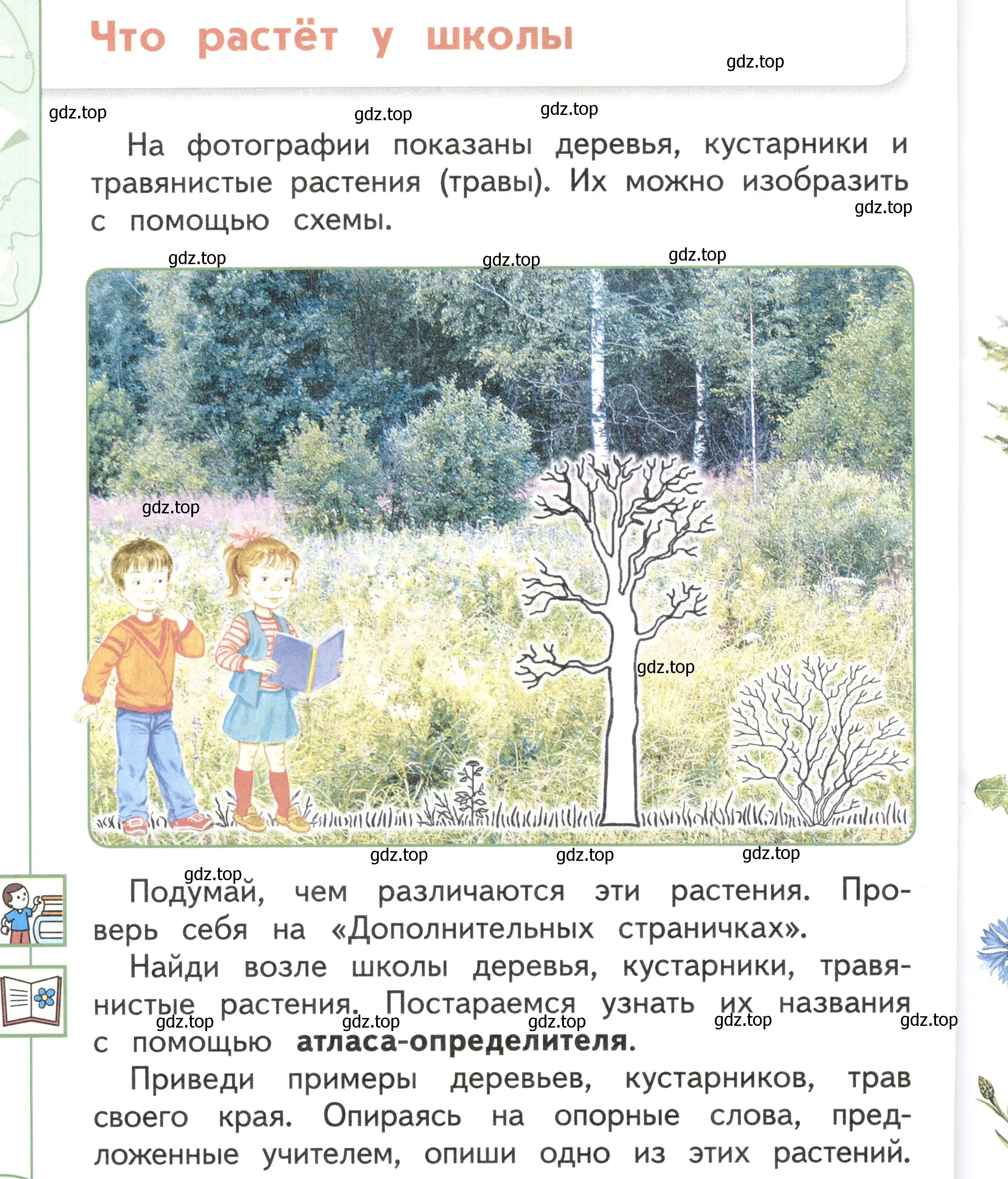 Условие Страница 42 гдз по окружающему миру 1 класс Плешаков, Новицкая, учебник 1 часть